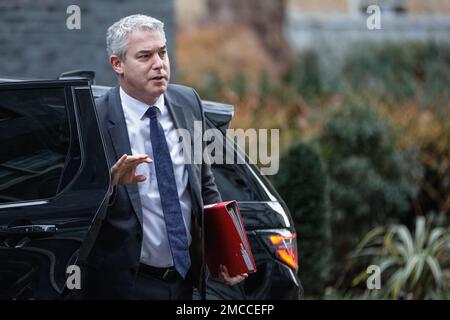 Steve Barclay, deputato, Segretario di Stato per la Salute e l'assistenza sociale, Downing Street, Inghilterra Foto Stock