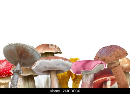 Cornice acquerello in funghi. cornice con funghi realistici. cornice autunnale Foto Stock
