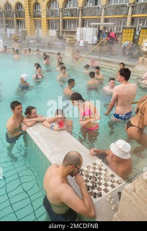 Persone non identificate che giocano a scacchi nel famoso bagno termale Szechenyi a Budapest Foto Stock