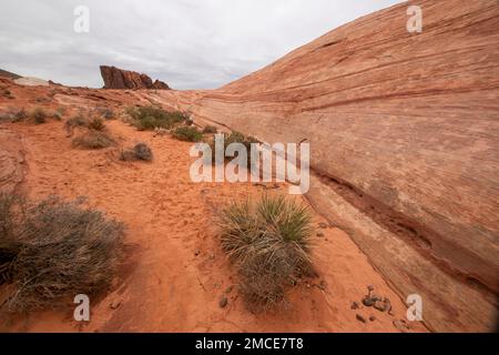 Fire Wave è una formazione geologica popolare nella Valley of Fire state Park vicino a Las Vegas, Nevada, USA. Foto Stock