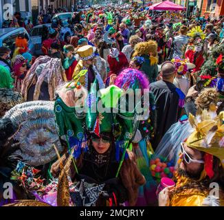 Strade affollate durante la sfilata a piedi (Krewe di Sant'Anna) durante il Mardi Gras a New Orleans Foto Stock