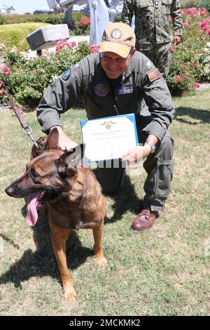 Recentemente ritirato Military Working Dog Rex è stato premiato oggi con la Navy and Marine Corps Achievement Medal in una cerimonia tenutasi a bordo di NAS Lemoore. Il premio è stato consegnato dal comandante NAS Lemoore CAPT Douglas M. Peterson (nella foto). Rex è stato assegnato al distaccamento di sicurezza NAS Lemoore dal novembre 2018 al gennaio 2022, e durante quel periodo, ha ispezionato più di 12.000 veicoli, 850 edifici, 676 magazzini e 125 hangar. È stato anche selezionato a mano per servire e proteggere in 15 Stati Uniti Missioni di Servizio segreto per il Presidente e Vice Presidente degli Stati Uniti. Bravo Zulu per un jo Foto Stock