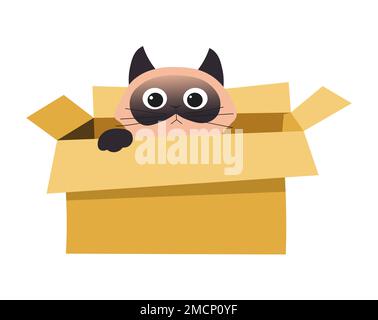Gatto in scatola nascondere o giocare animale isolato in contenitore di cartone Illustrazione Vettoriale