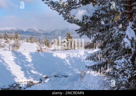 Splendido paesaggio invernale panoramico. Le bianche vette innevate dei Monti Rila da Bansko, Bulgaria Foto Stock