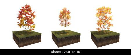 Autunno albero e suolo tagliato sotto di esso. Elemento giardino isolato, illustrazione 3D, rendering cg Foto Stock