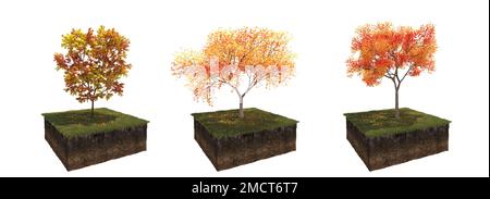 Autunno albero e suolo tagliato sotto di esso. Elemento giardino isolato, illustrazione 3D, rendering cg Foto Stock