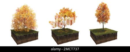 Autunno albero e suolo tagliato sotto di esso. Elemento giardino isolato, illustrazione 3D, rendering cg Foto Stock