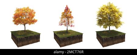 Autunno albero e suolo tagliato sotto di esso. Elemento giardino isolato, illustrazione 3D, rendering cg Foto Stock