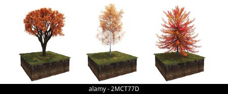 Autunno albero e suolo tagliato sotto di esso. Elemento giardino isolato, illustrazione 3D, rendering cg Foto Stock