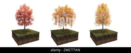 Autunno albero e suolo tagliato sotto di esso. Elemento giardino isolato, illustrazione 3D, rendering cg Foto Stock