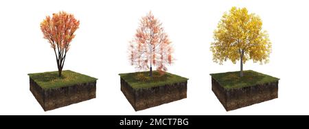 Autunno albero e suolo tagliato sotto di esso. Elemento giardino isolato, illustrazione 3D, rendering cg Foto Stock