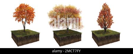 Autunno albero e suolo tagliato sotto di esso. Elemento giardino isolato, illustrazione 3D, rendering cg Foto Stock