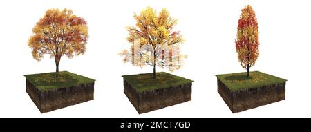 Autunno albero e suolo tagliato sotto di esso. Elemento giardino isolato, illustrazione 3D, rendering cg Foto Stock