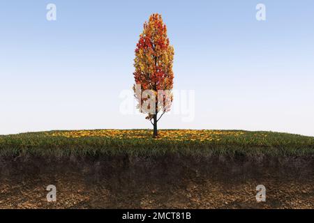 Autunno albero e suolo tagliato sotto di esso. Elemento giardino isolato, illustrazione 3D, rendering cg Foto Stock