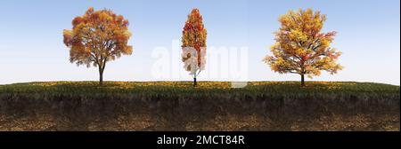 Autunno albero e suolo tagliato sotto di esso. Elemento giardino isolato, illustrazione 3D, rendering cg Foto Stock