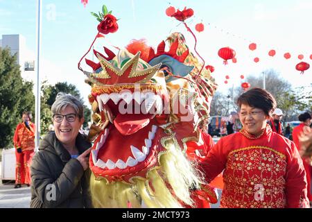 Madrid, Spagna. 20th Jan, 2023. Un residente si propone per una foto con un leone ballerino durante un evento per celebrare il Capodanno cinese a Madrid, Spagna, 20 gennaio 2023. Una varietà di attività si sono svolte in città spagnole per celebrare il Capodanno cinese. Credit: Gustavo Valiente/Xinhua/Alamy Live News Foto Stock