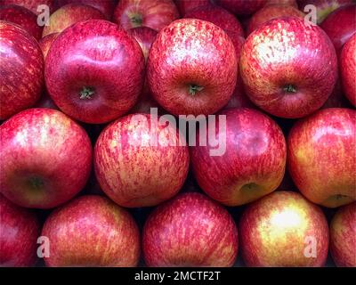 Mele di gala disposte in pila al supermercato per la vendita. Modello di mele. Foto Stock