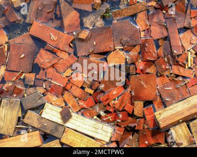 Fotografia ravvicinata di alcuni pezzi di legno di cedro spagnolo ricoperti di acqua piovana, catturati in una fattoria vicino alla città coloniale di Villa de Leyva in centra Foto Stock