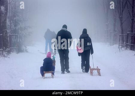 22 gennaio 2023, Sassonia-Anhalt, Wernigerode: Gli escursionisti camminano con le slitte lungo un sentiero a Drei Annen Hohne. In gran parte dell'Harz c'era abbondante nevicata nella notte fino alla domenica. Il clima invernale ha attirato numerosi visitatori nella regione di Harz durante il fine settimana. Foto: Matthias Bein/dpa Foto Stock