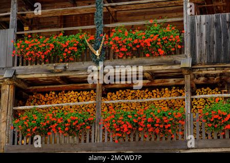 Antichi casali con decorazioni floreali nel villaggio di Sottoguda vicino a Rocca Pietore Rocia, Val Pettorina, Dolomiti, Provincia di Belluno, Veneto, Italia Foto Stock