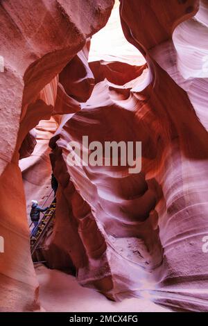 Un'escursione sale su una scala nei confini interni del vento e dell'arenaria scolpita dall'acqua del canyon inferiore dell'Antelope vicino a Page, Arizona. Foto Stock