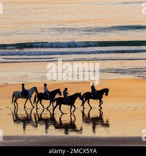 Cavalieri sulla spiaggia, cavalli, tramonto, silhouette, Chiclana de la Frontera, Costa de la Luz, Cadice, Andalusia, Spagna Foto Stock