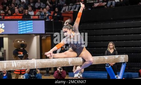 Corvallis, Stati Uniti. 21st Jan, 2023. I Sydney Gonzales della Oregon state University si sono classificati al secondo posto nel concorso Balance Beam con un punteggio di 9,925 al Beaver Quad della Oregon state University al Gill Coliseum di Corvallis, Oregon, il 21 gennaio 2023 (foto di Jeff Wong/Sipa USA). Credit: Sipa USA/Alamy Live News Foto Stock