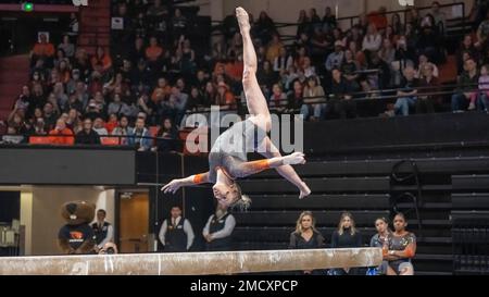 Corvallis, Stati Uniti. 21st Jan, 2023. Il Jade Carey della Oregon state University ha vinto il concorso Balance Beam con un punteggio di 9,950 e ha vinto tutti gli onori piazzandosi al primo posto in tutti gli eventi all'Oregon state University Beaver Quad Meet al Gill Coliseum di Corvallis, Oregon il 21 gennaio 2023 (foto di Jeff Wong/Sipa USA). Credit: Sipa USA/Alamy Live News Foto Stock