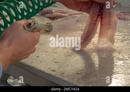 Ripulire il pesce fresco pescato sulle banchine dopo la pesca d'altura a Tampa Bay Florida USA Foto Stock