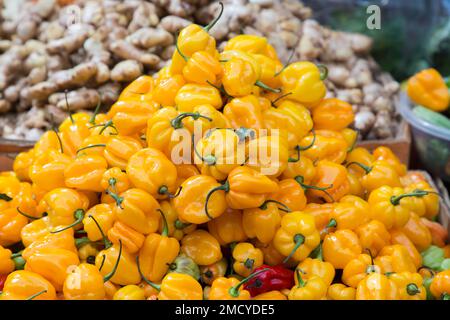 Un grosso mucchio di peperoni gialli Scotch Bonnet Chilli a Brixton London Foto Stock