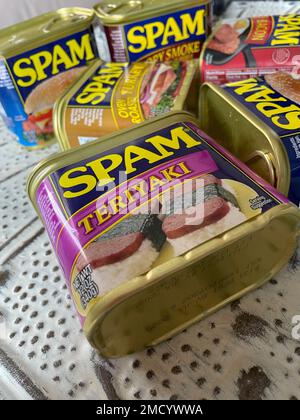 Diversi sapori di barattoli di Spam Luncheon Meat, USA, 2023, USA Foto Stock