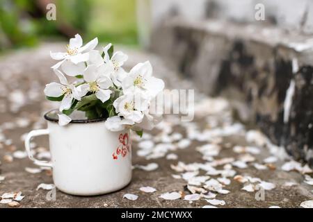 Vita morta con tazza e bouquet di rami con fiori di mela. Petali bianchi di alberi fioriti caduti su cemento. Foto Stock