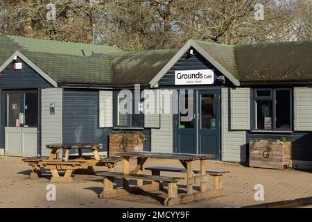 Caffè nel Salcey Forest Foto Stock