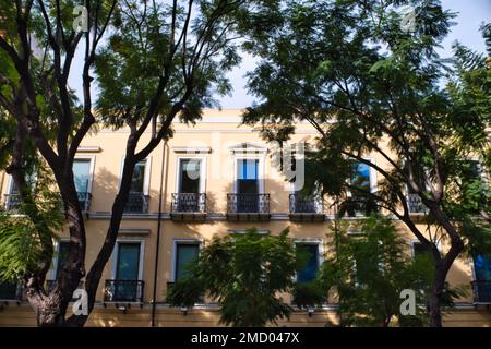 Vista di un antico palazzo dietro una cortina di alberi in Largo Carlo Felice a Cagliari Foto Stock