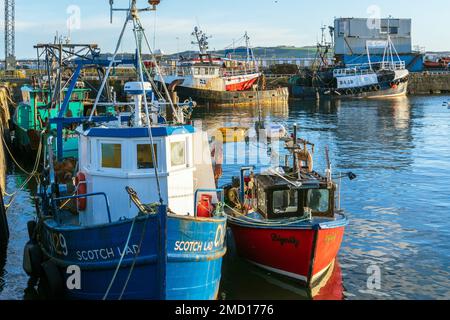 Barche da pesca legato fino a Troon Harbour, Ayrshire, in Scozia, Regno Unito Foto Stock