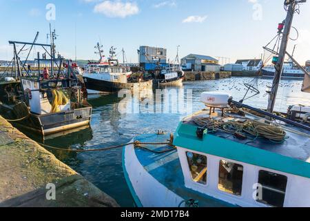 Barche da pesca legato fino a Troon Harbour, Ayrshire, in Scozia, Regno Unito Foto Stock