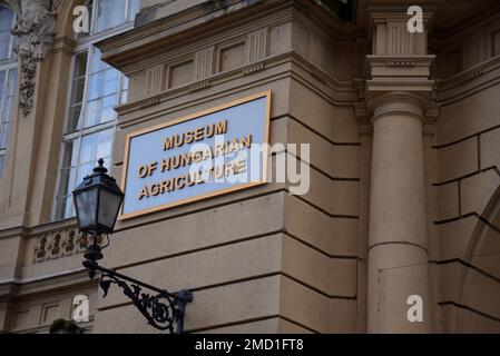 Lavori di pietra ornati presso il Museo dell'Agricoltura Ungherese, ospitato nel Castello di Vajdahunyad, Budapest Foto Stock