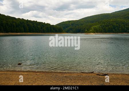 Palude di Irabia shore, circondato da faggio (Fagus sylvatica) e unione di abete bianco (Abies alba) bosco misto (foresta di Irati, Navarra, Spagna) Foto Stock