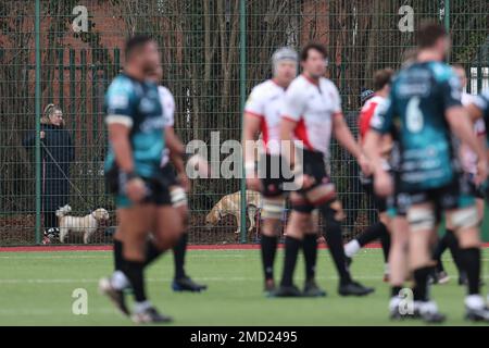 Ystrad Mynach, Regno Unito. 22nd Jan, 2023. Le persone con cani guardano la partita dall'esterno. European Challenge Cup rugby, pool B match, Dragons contro Emirates Lions al CCBC Centre for Sporting Excellence di Ystrad Mynach, Galles, domenica 22nd gennaio 2023. pic di Andrew Orchard/Andrew Orchard sports photography/Alamy Live news Credit: Andrew Orchard sports photography/Alamy Live News Foto Stock