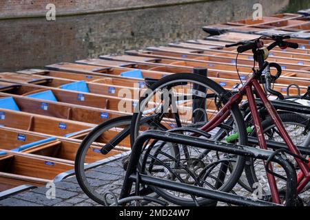 Biciclette e Punts by the River Cam, Cambridge, Cambridgeshire, Inghilterra, Regno Unito Foto Stock