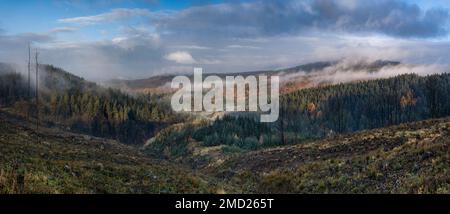 Mist Clearing from Macclesfield Forest in autunno, Macclesfield Forest, Cheshire, Inghilterra, Regno Unito Foto Stock