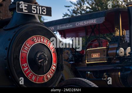 Motore di trazione colorato al Traction Engine Rally, Cheshire, Inghilterra, Regno Unito Foto Stock