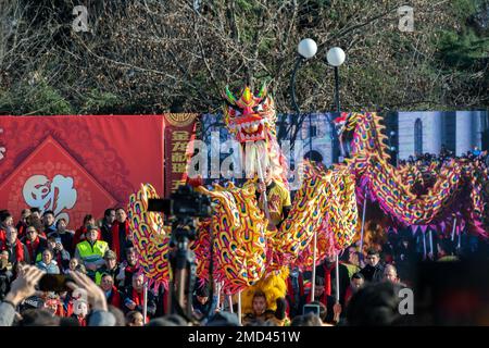 Milano, Italia, 21 gennaio 2023 - Felice anno cinese 2023 anno del coniglio zodiaco segno celebrazioni affollate Foto Stock