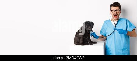 Bel veterinario presso la clinica di veterinario esame carino cane nero pug, che punta il dito verso l'animale durante il check-up con stetoscopio, sfondo bianco Foto Stock