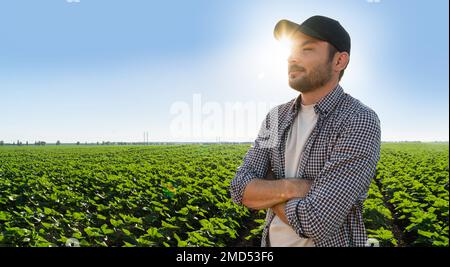 Contadino bearded in un berretto e una camicia a plaid sullo sfondo del campo agricolo Foto Stock