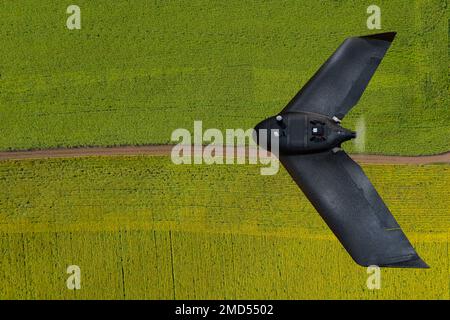 Drone vola su terreni agricoli. Agricoltura intelligente Foto Stock