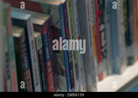 Le spine dei libri cinesi alla biblioteca centrale di Cardiff, Cardiff, Galles Foto Stock