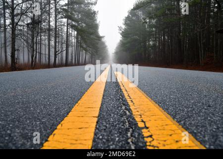 Vista dal basso angolo della strada asfaltata attraverso la nebbia e i pini della Georgia Foto Stock