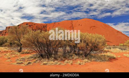 432 zona accanto all'angolo NW visto dalla base passeggiata intorno Uluru-Ayers Rock. NT-Australia. Foto Stock