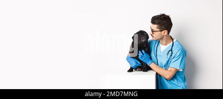 Bel giovane veterinario medico graffiare carino nero pug, animale domestico un cane, in piedi in scrub su sfondo bianco Foto Stock